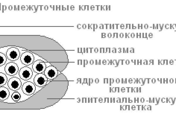 Как зайти на omg omg