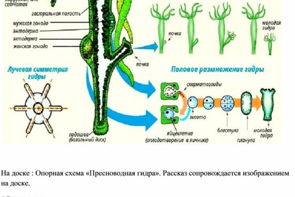 Omg не работает