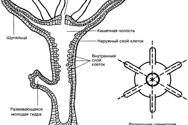 Ссылка омг в тор